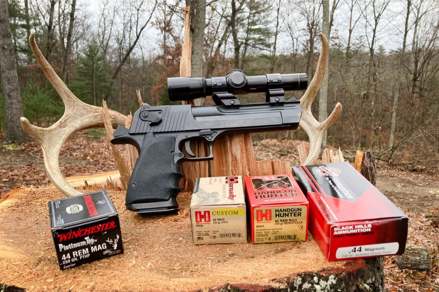 Desert Eagle .44 Magnum Review: Big-Bore Handgun Hunting Done Right ...